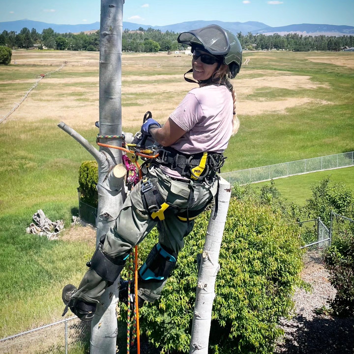 Cheri in a tree
